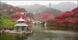 济南做强“文化旅游目的地”品牌