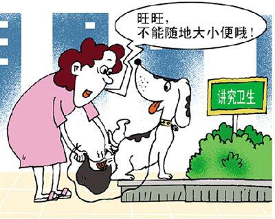 文明养犬 从你我身边做起