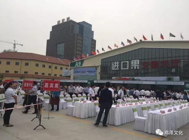 鸡泽局长卖菜，卖到了京津冀