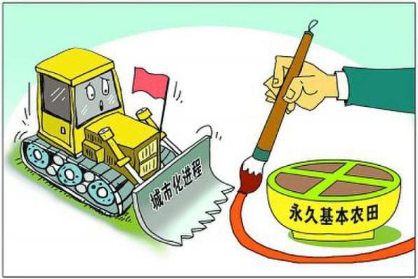 落实耕地保护制度 划定永久基本农田