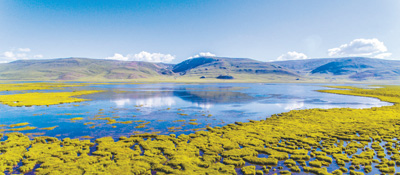 青海省实施天然林保护工程20年 倾力守护“中华水塔”