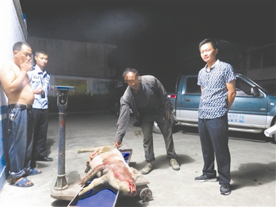 四川凉山州将出台政策: 游客撞死活禽牲畜可按市价赔偿