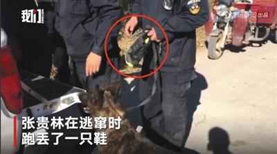 逛小卖部暴露行踪 辽宁两越狱犯落网