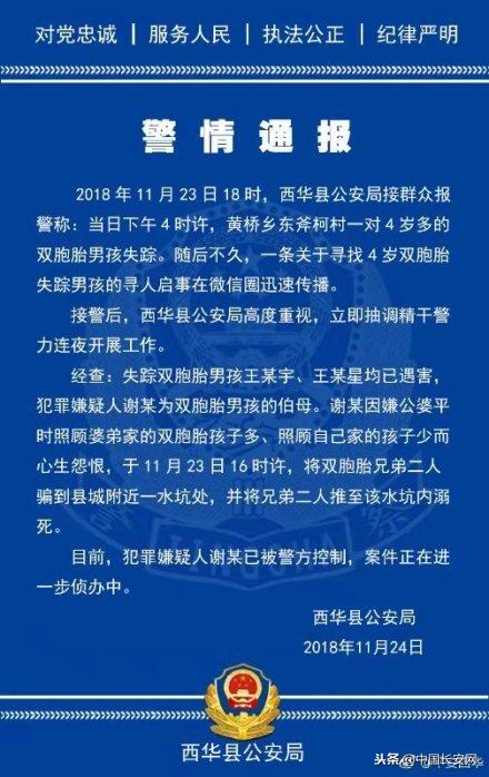 河南4岁双胞胎被推至水坑溺死 犯罪嫌疑人系其伯母