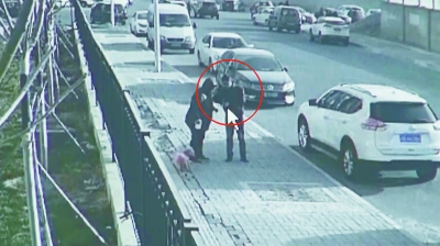小心碰瓷新花样:佯装被狗咬伤 两名嫌疑人落网