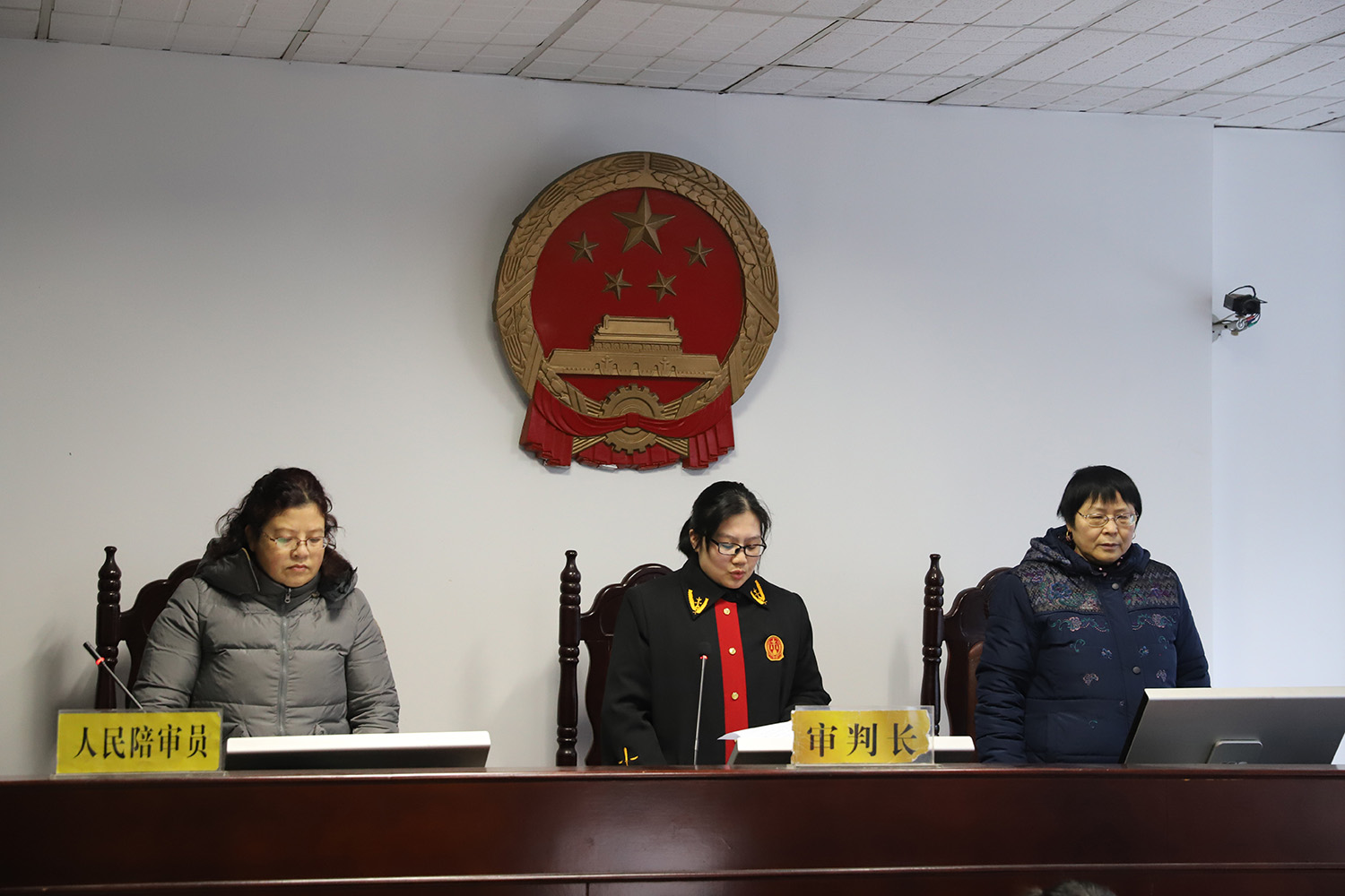 “东氏家族”恶势力犯罪案件一审公开宣判