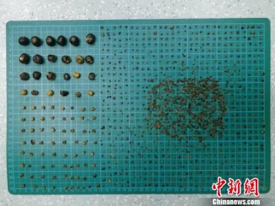 ����һ��ѮŮ�ӵ���װǧ��Ž�ʯ ҽ���ƺ���