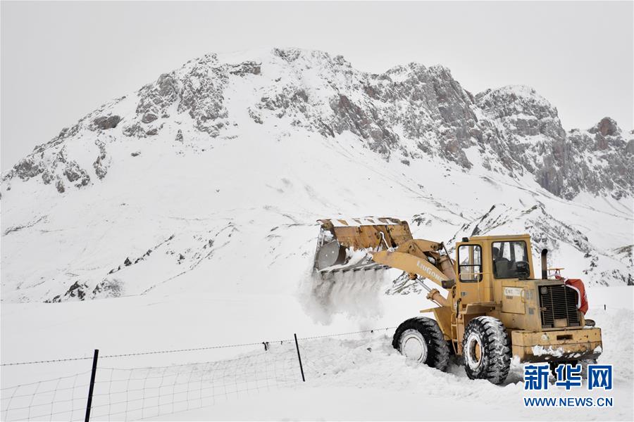 青海玉树雪灾区全力保障道路通畅