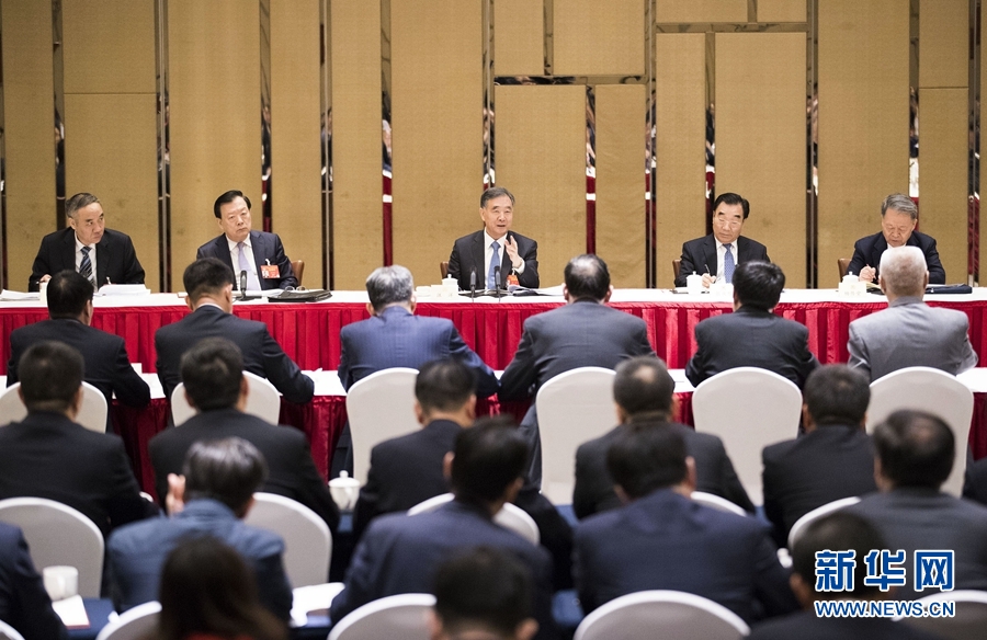 汪洋参加经济、农业界委员联组会讨论