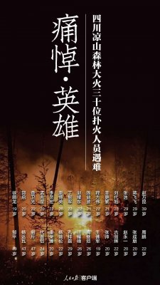 �ױ�180�������������ɽɭ�ֻ���������Ա�⸶