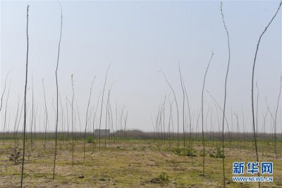 ���Ͽ�չ����ͥ���ס�ר���ж� �ػ��Ӻ�����