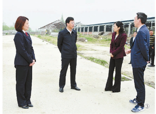 公益诉讼解决行政执法难题 粪污横流奶牛场终于搬走