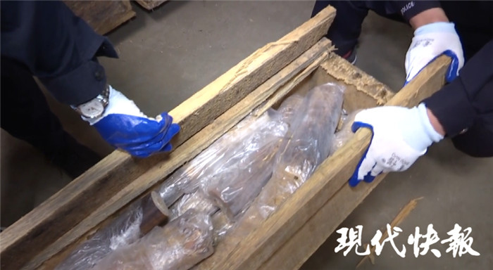 国家行动!中国海关破获特大象牙走私案,缴获象牙7.48吨