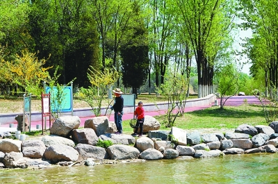 ������԰�����ɫ������