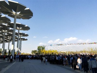 ������԰��ɣ�����򿨵أ�,��Щ������������?