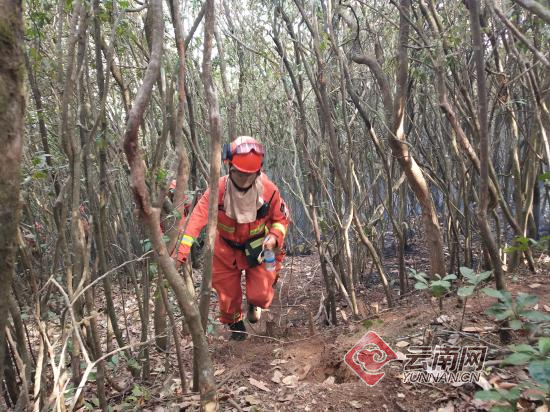 云南安宁山火东北线明火昨晚已扑灭 3架直升机吊桶洒水超192吨