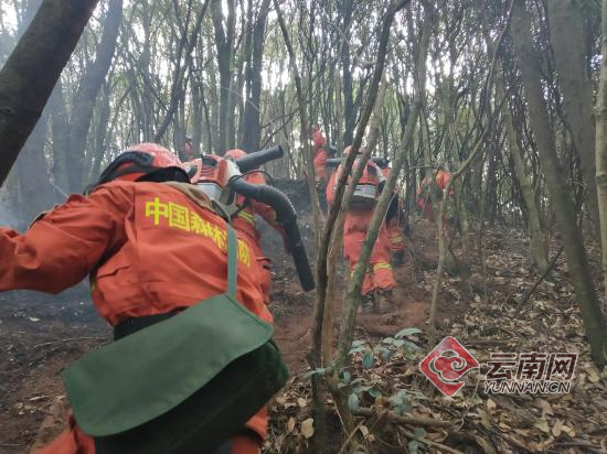 云南安宁山火东北线明火昨晚已扑灭 3架直升机吊桶洒水超192吨