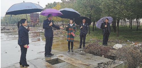 宋青委员两年提案盯准一个领域:关注生态修复"执行难"