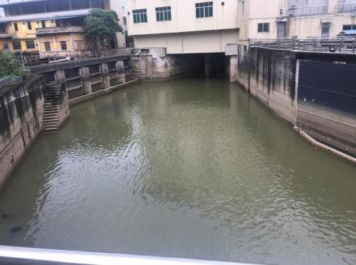 广东肇庆局部地区空气中有“咸鱼味”？ 官方回应