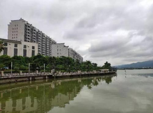 广东肇庆局部地区空气中有“咸鱼味”？ 官方回应