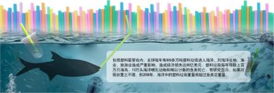 ������ʵʩ11�� ���������������Ծ�ʮ�־���