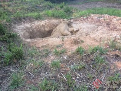 ���Ͼ��飺Ұ������������ˮ�ӱ��� ��40�˳ɹ�ʩ��