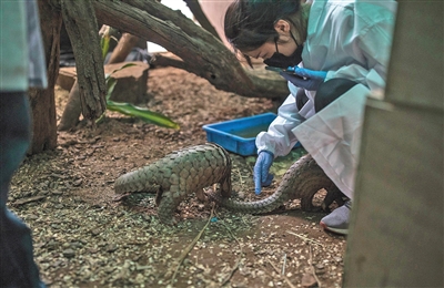 �л���ɽ�ױ����������������ߵ����Ҳ���