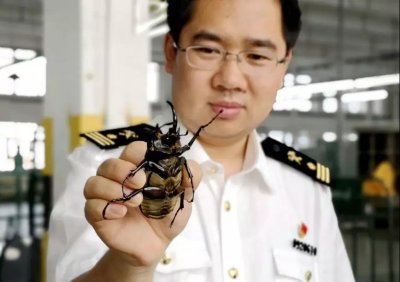 �������ؽػ�8ֻ����׳棬Ϊȫ���ڰ��״νػ�