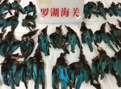 ��Ŀ���ģ����ؽػ�222ֻ���������ʬ�壺���඼����