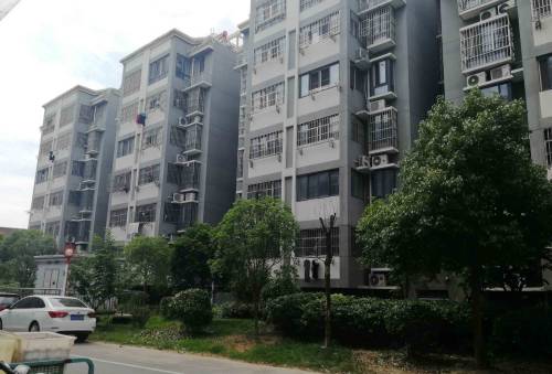 江苏一"医托"团伙被端:假装"热心人" 混迹在医院多处