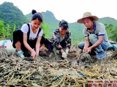 ����ѧ�������ϡ�����㡱,�����������ġ���ѧ��Ӧ��