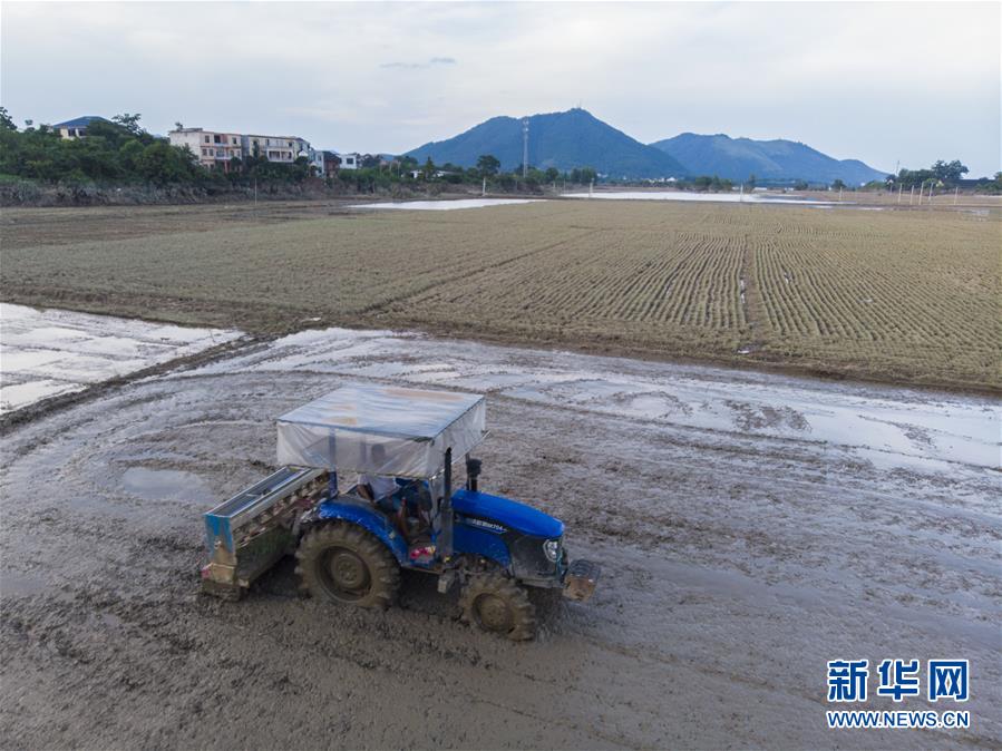 湖南灾区见闻：城里忙清淤消毒 乡村忙生产自救