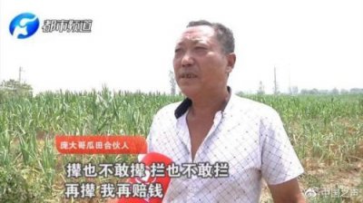 ��ũ׷͵���߷���300�� ����ר�ң��񾯴�����ǡ��