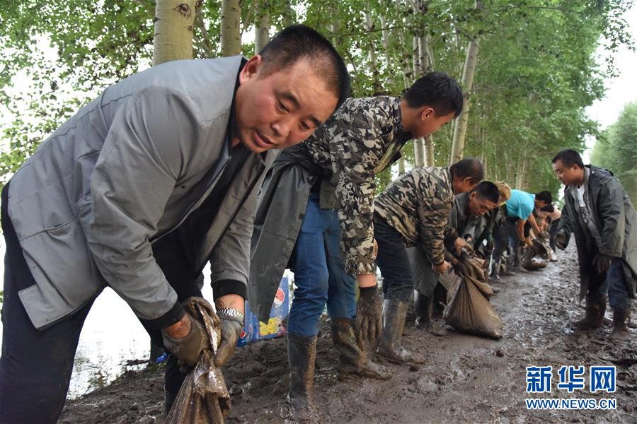 “向水而行”——黑龙江宝清抗洪抢险现场直击