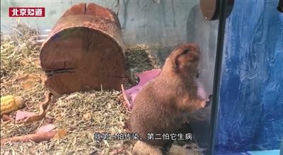 多家商场内设动物园卫生条件堪忧 监管部门已派人检查
