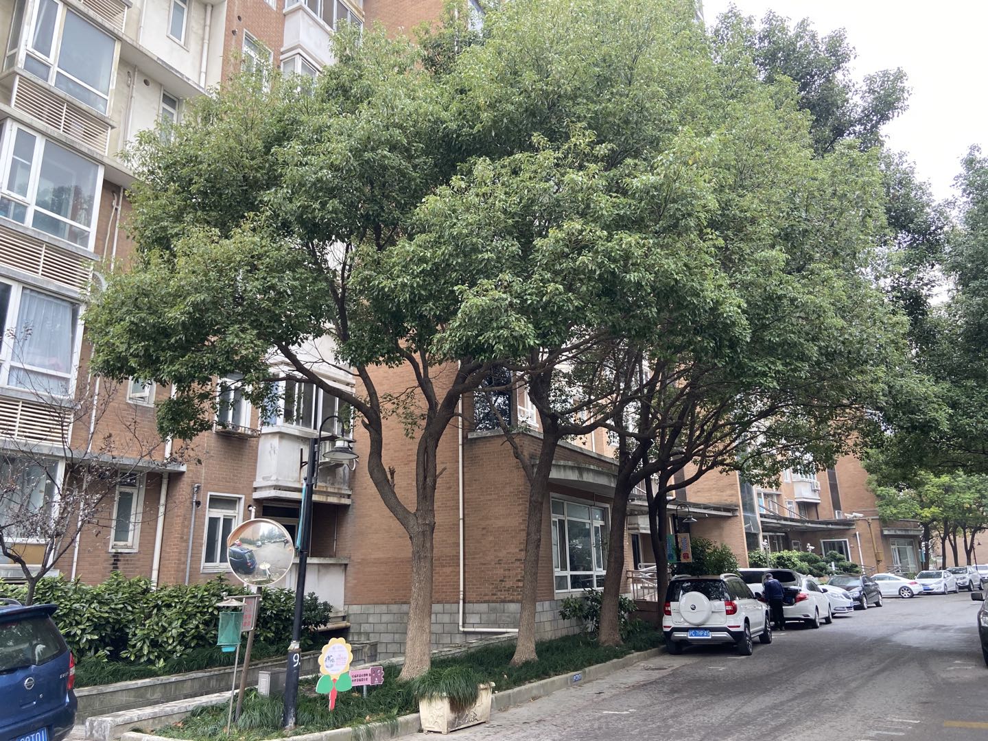 一把钥匙引发出租屋"谜"案:租客还未入住便发生流血纠纷?