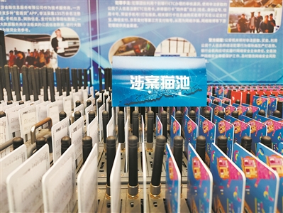广东破获全国首例非法利用公民信息注册ETC信用卡案