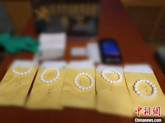 兰州海关严打走私濒危野物种犯罪 连续查获砗磲制品两千余克