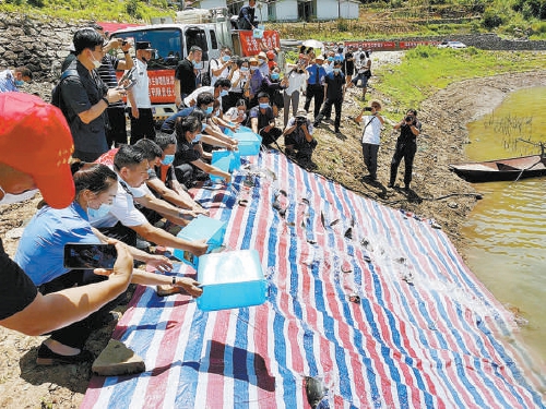 湖北长阳：宣判一刑事附带民事公益诉讼案