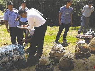 濒危动物上餐桌 一起命案牵出的买卖野生动物大