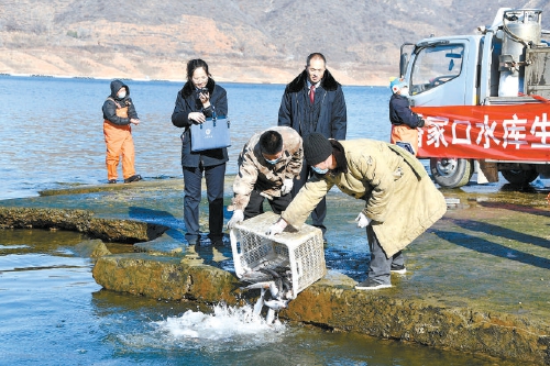 图片新闻|非法捕捞水产品刑附民公益诉讼案被告人增殖放流