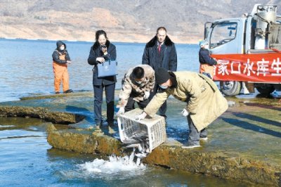 图片新闻|非法捕捞水产品刑附民公益诉讼案被告