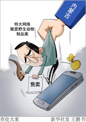 内蒙古查处一起特大网络贩卖野生动物制品案