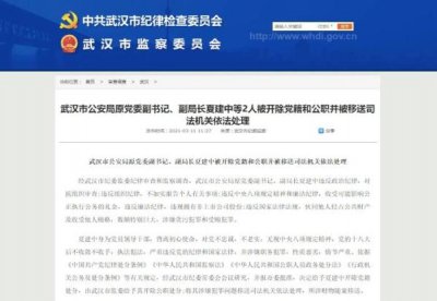 武汉市公安局原副局长夏建中被＂双开＂
