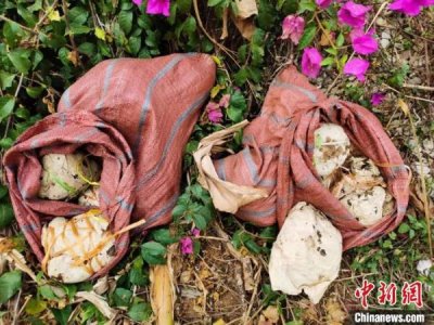 云南普洱在中缅边境查获鸦片33公斤、毒资38万元