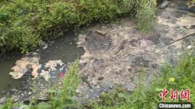 成都市新都区、双流区黑臭水体治理不彻底问题依