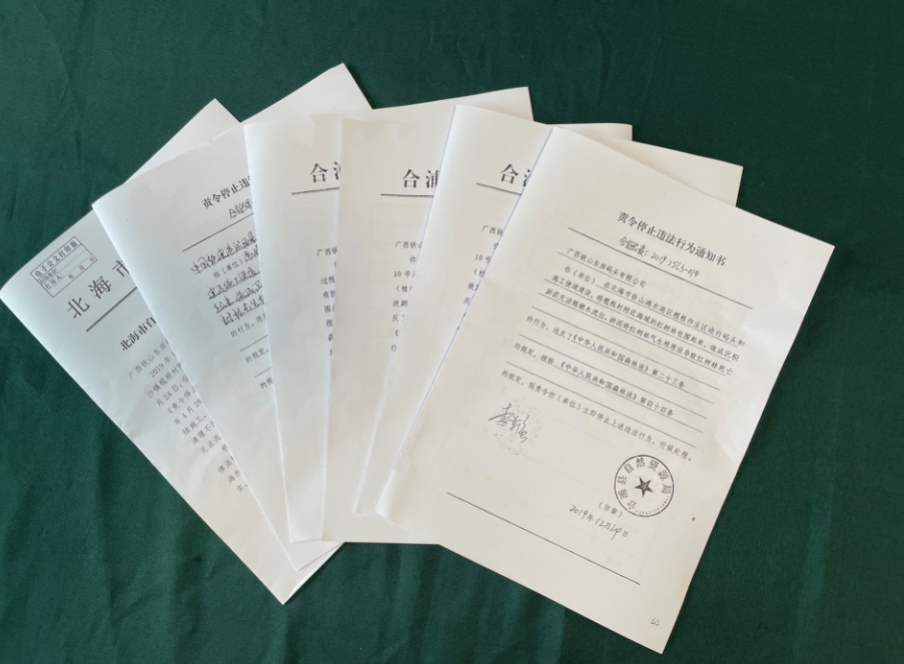 6道禁令挡不住违规施工,广西北海红树林大片消失